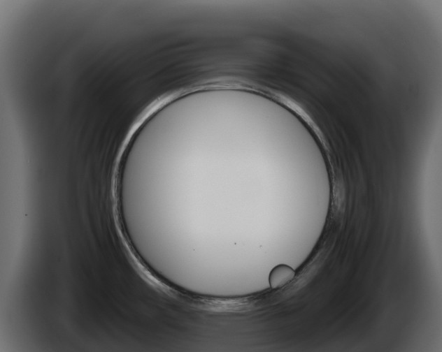 X0000086031482200703230943