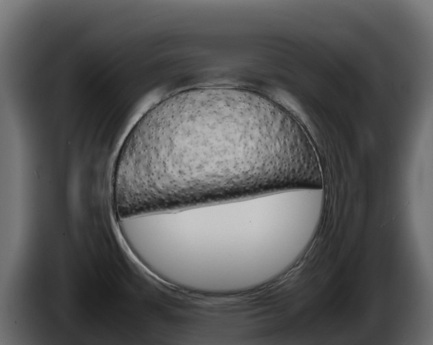 X0000086031483200703230943