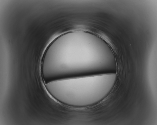 X0000086031484200703230943