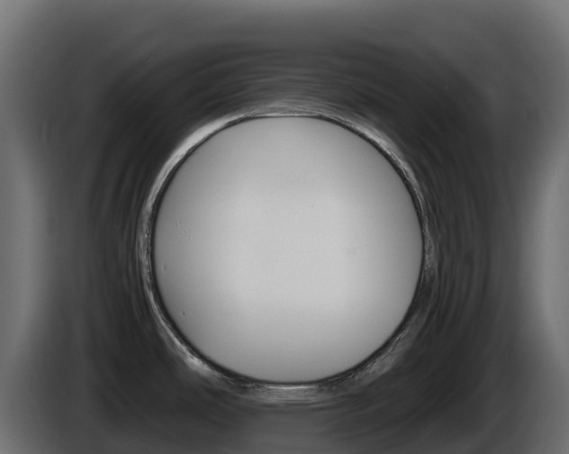 X0000086031486200703230943