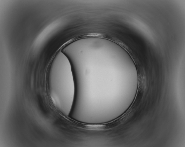 X0000086031487200703230943
