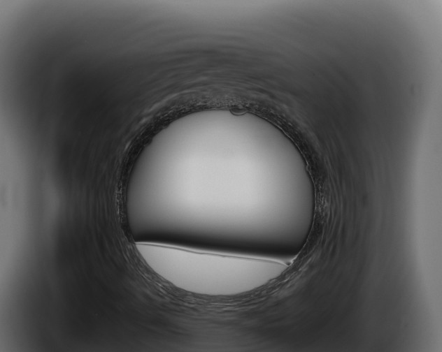 X0000086031490200703230943