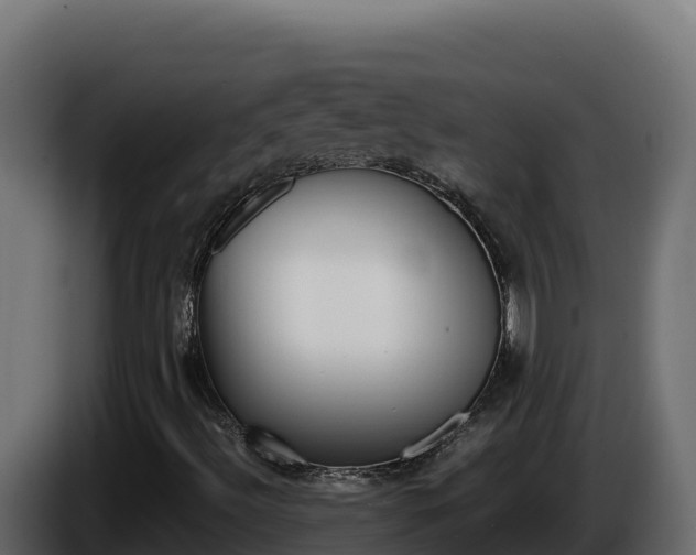 X0000086031492200703230943