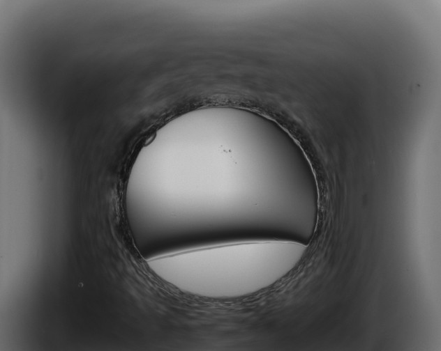 X0000086031493200703230943