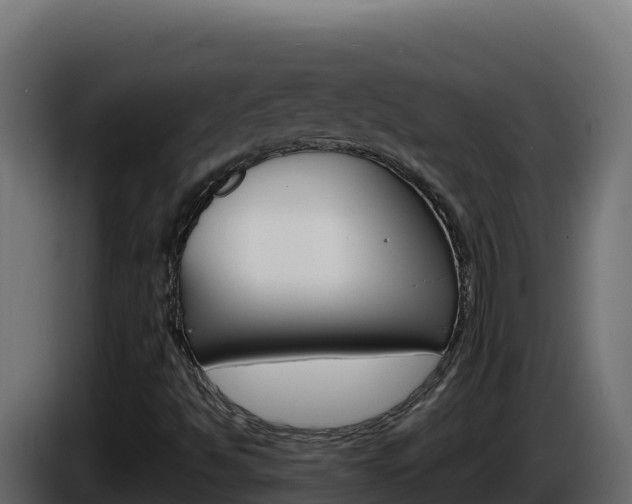 X0000086031494200703230943
