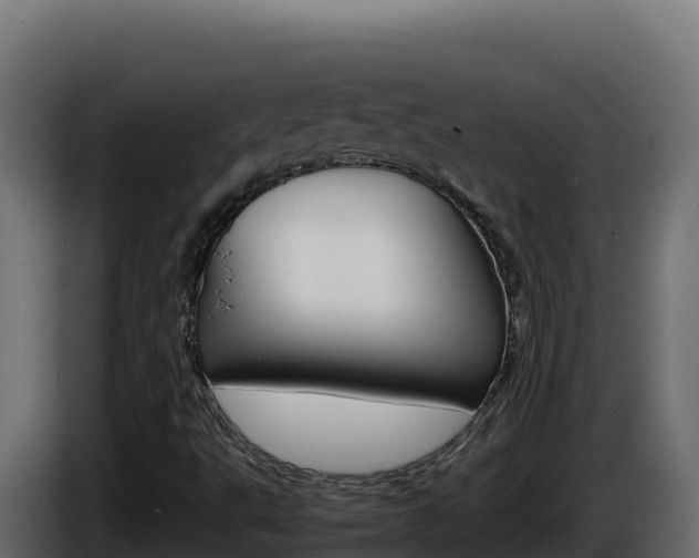 X0000086031495200703230943