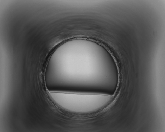 X0000086031497200703230943