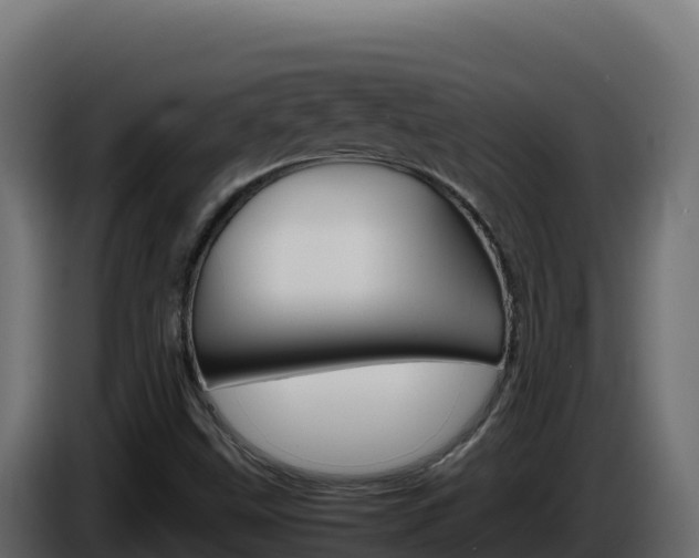 X0000086031499200703230943
