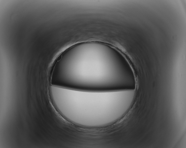 X0000086031500200703230943