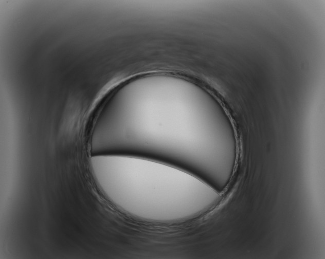 X0000086031501200703230943