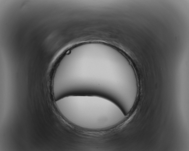 X0000086031502200703230943
