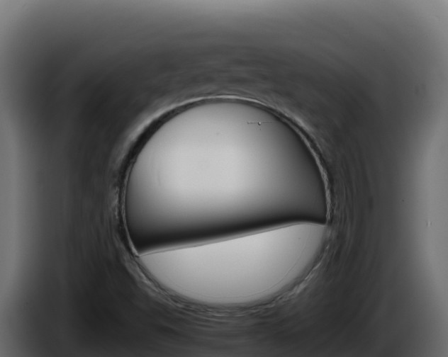 X0000086031503200703230943