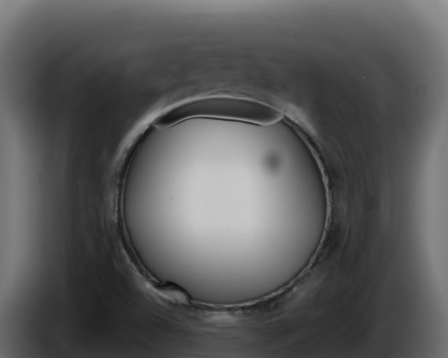 X0000086031504200703230943