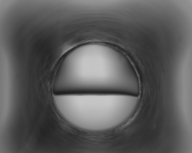 X0000086031505200703230943