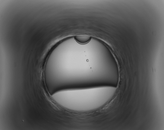 X0000086031507200703230943