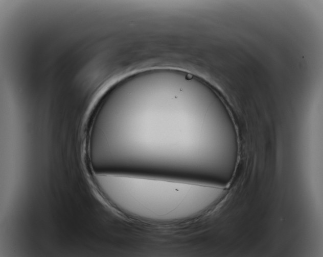 X0000086031511200703230943