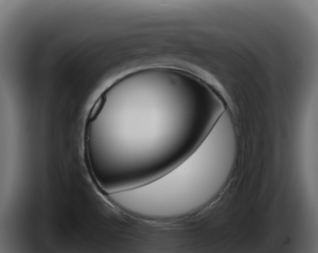 X0000086031512200703230943