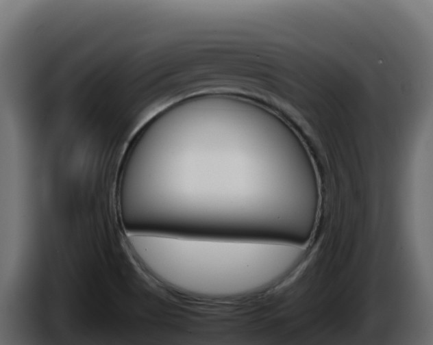 X0000086031513200703230943