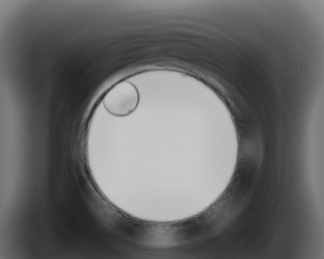 X0000086031514200703230943