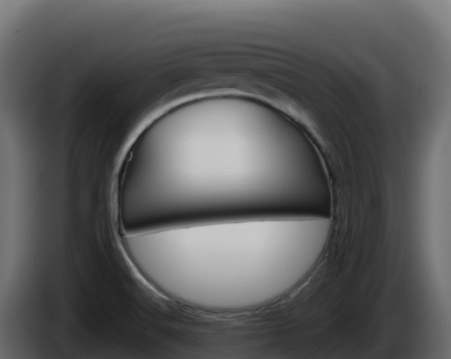 X0000086031516200703230943