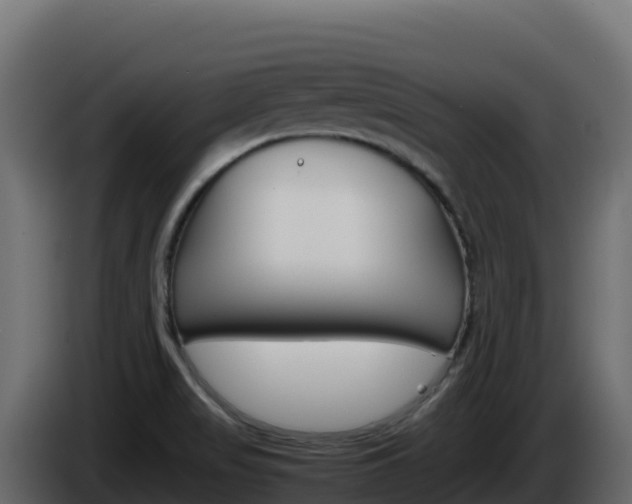 X0000086031517200703230943