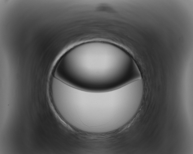 X0000086031518200703230943