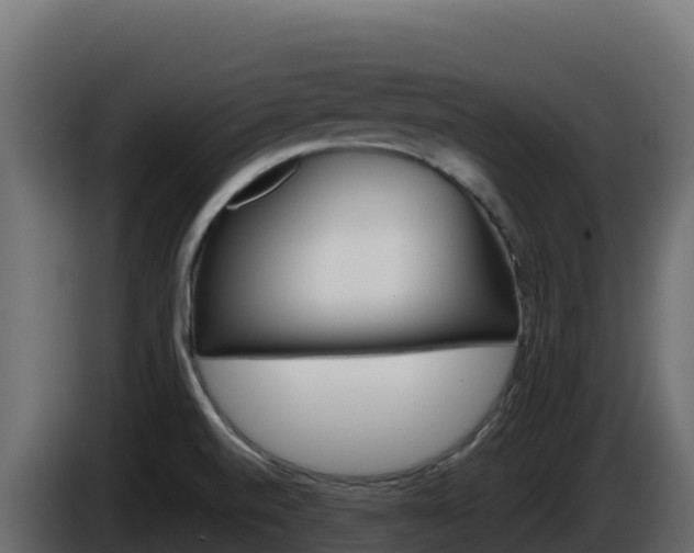 X0000086031520200703230943