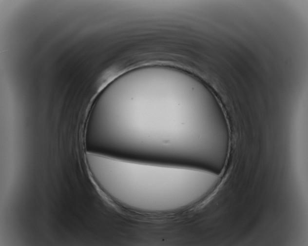 X0000086031521200703230943