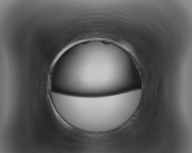 X0000086031524200703230943