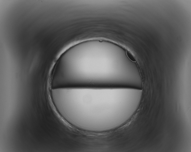X0000086031526200703230943