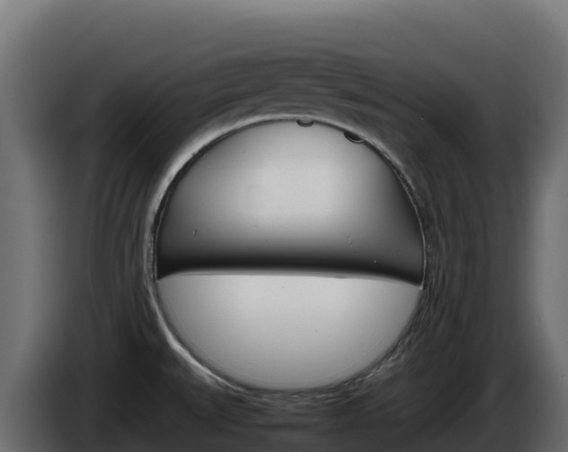 X0000086031527200703230943
