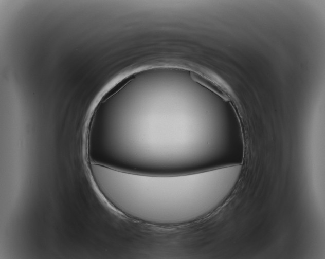 X0000086031528200703230943