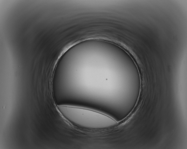 X0000086031529200703230943