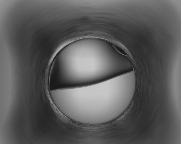 X0000086031530200703230943
