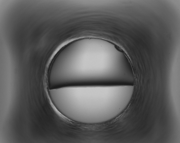 X0000086031531200703230943