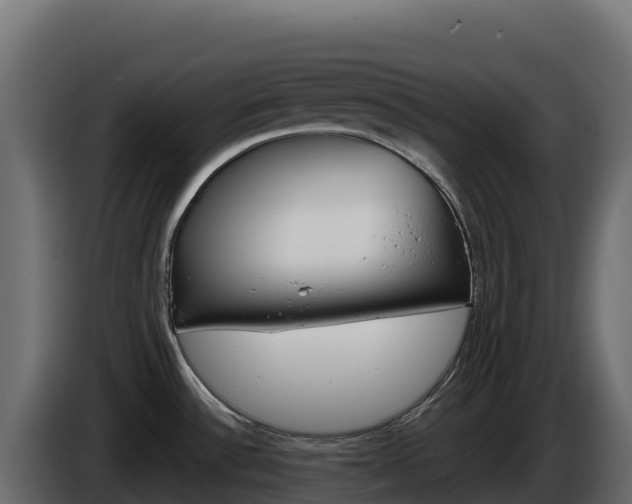 X0000086031532200703230943