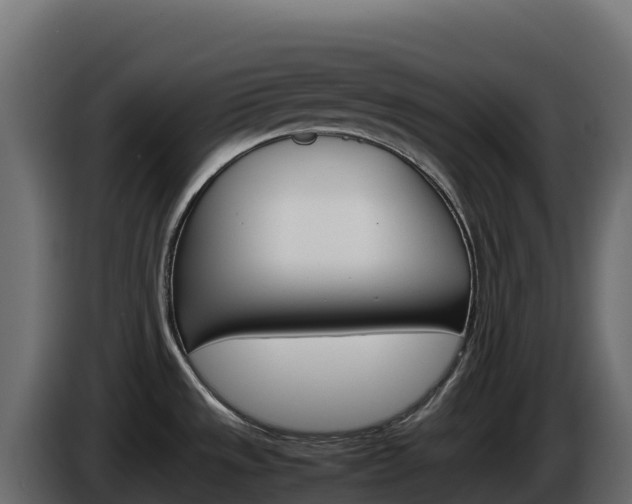 X0000086031533200703230943