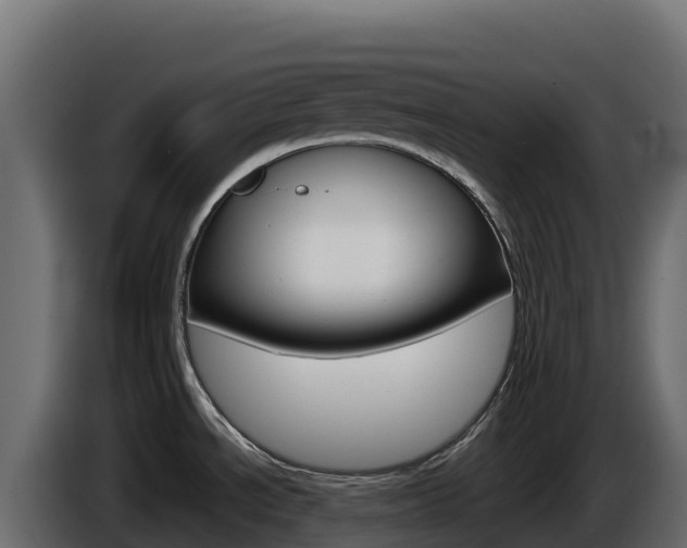 X0000086031534200703230943