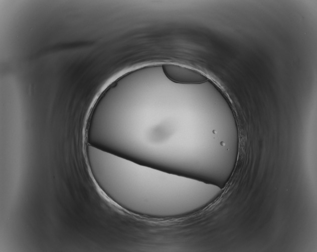 X0000086031535200703230943
