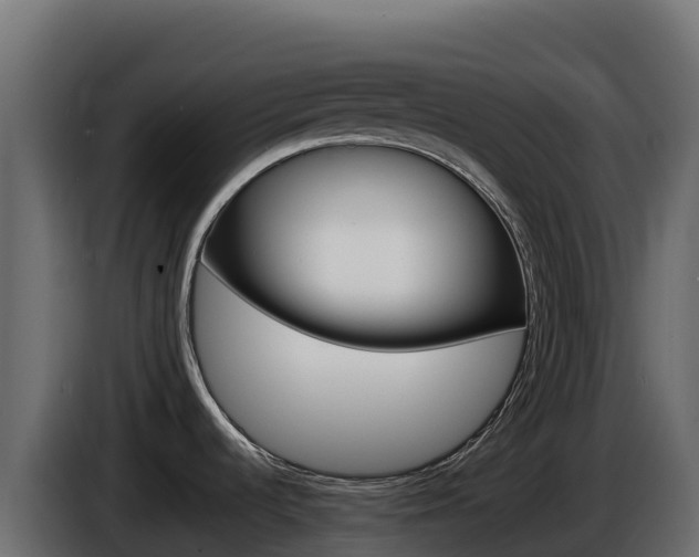 X0000086031536200703230943