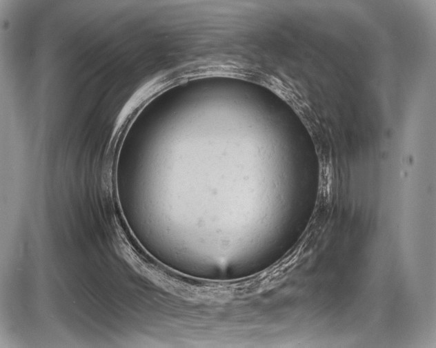 X0000086030004200703231224