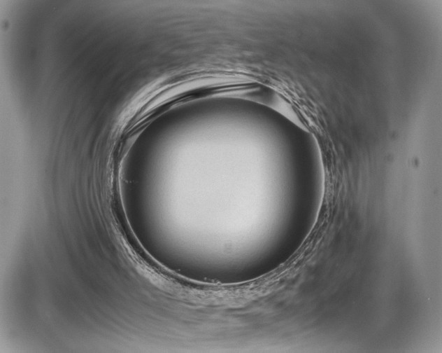 X0000086030005200703231224