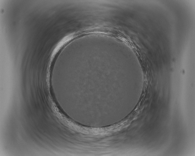 X0000086030006200703231224
