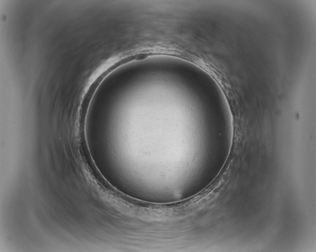 X0000086030008200703231224