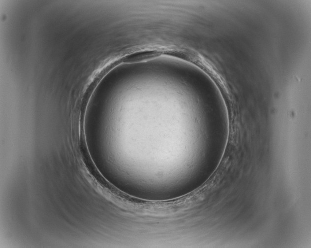 X0000086030011200703231224