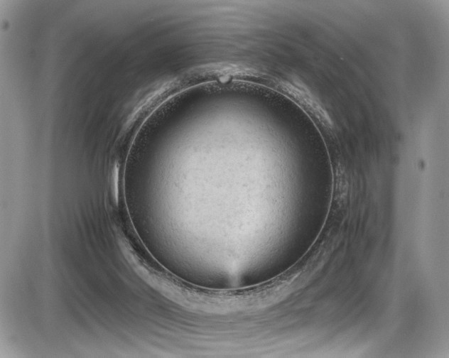 X0000086030014200703231224