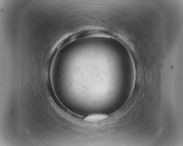 X0000086030015200703231224