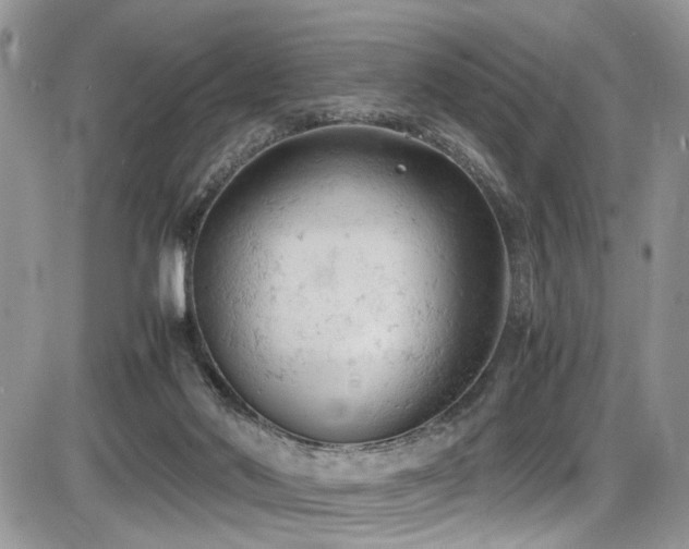 X0000086030022200703231223