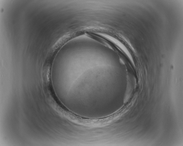 X0000086030023200703231223