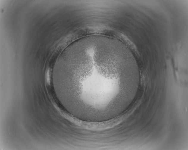 X0000086030026200703231223